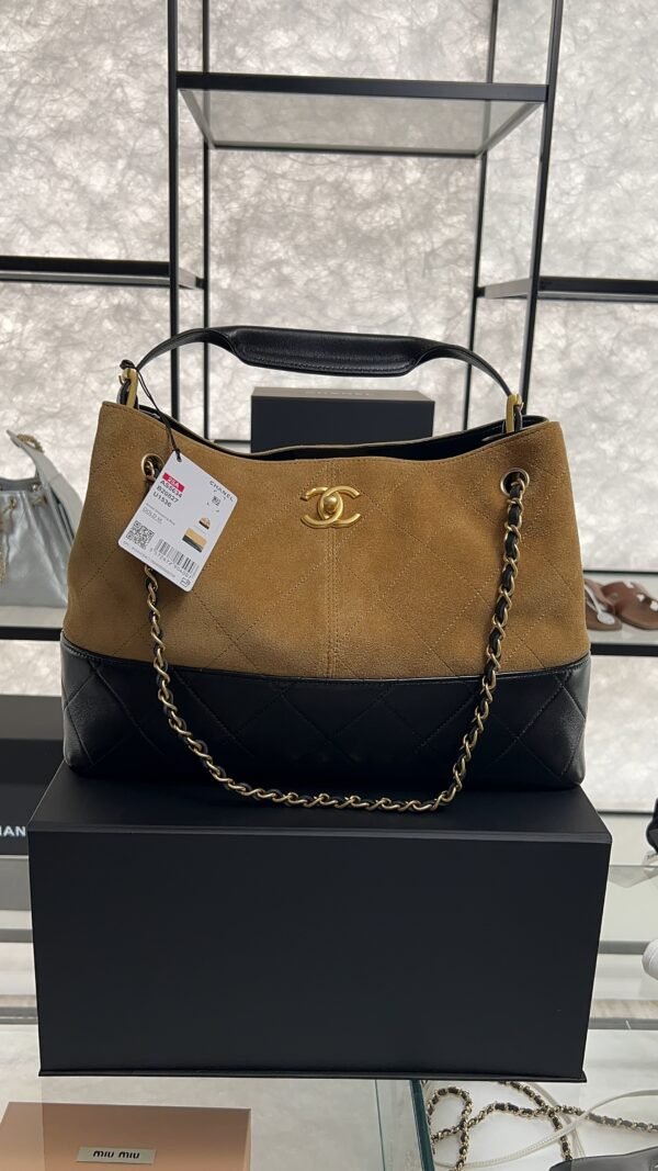 CHANEL 2024/25 Métiers d’art Shopping Bag