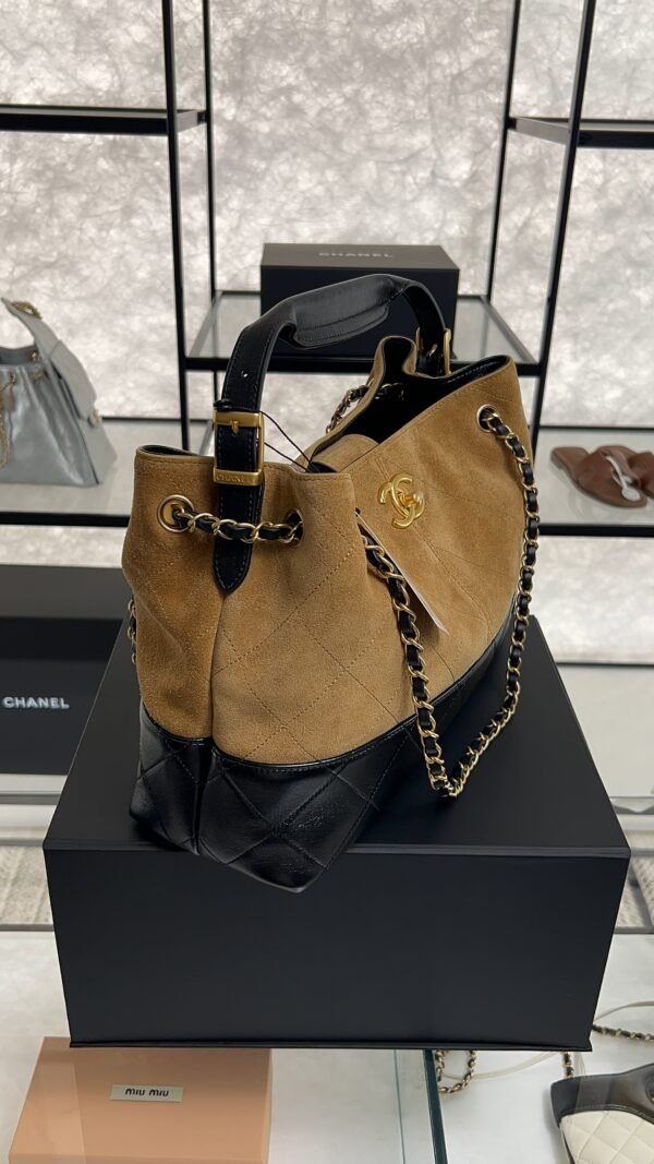 CHANEL 2024/25 Métiers d’art Shopping Bag