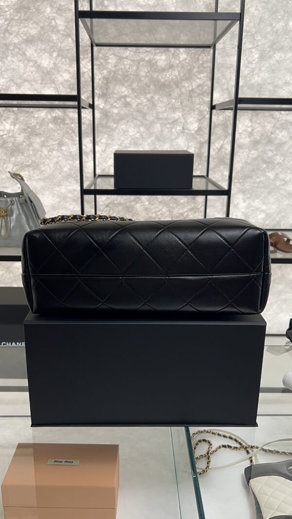 CHANEL 2024/25 Métiers d’art Shopping Bag