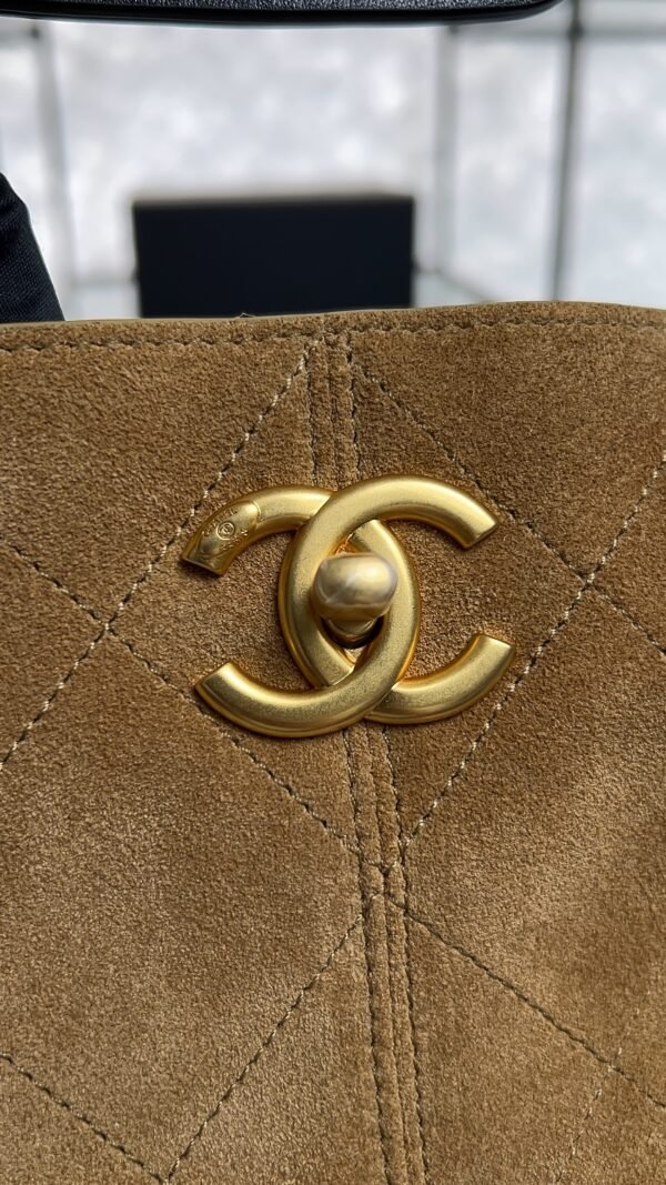 CHANEL 2024/25 Métiers d’art Shopping Bag