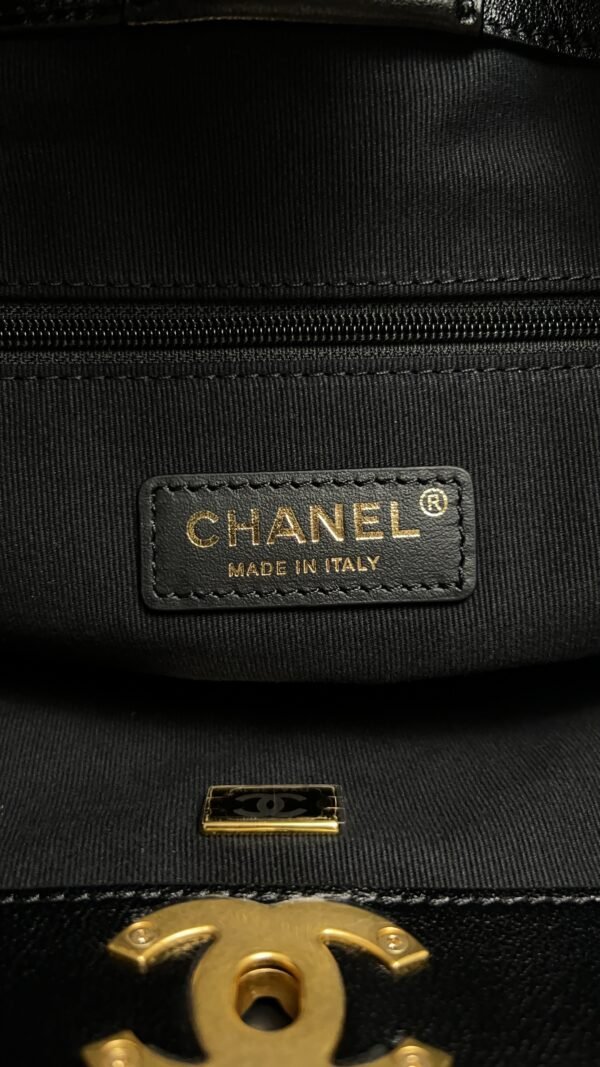 CHANEL 2024/25 Métiers d’art Shopping Bag