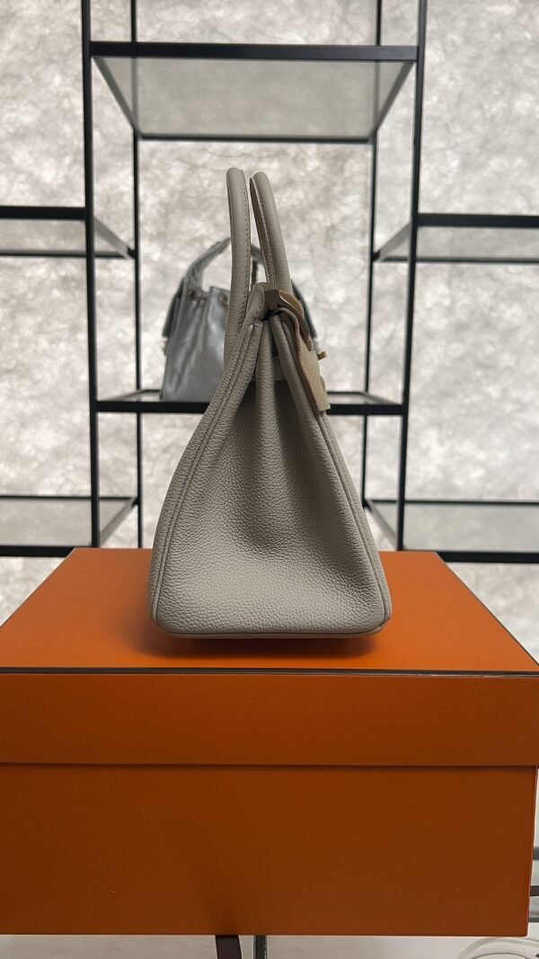 Hermès Birkin 25 Gris Perle Togo With Gold Hardware
