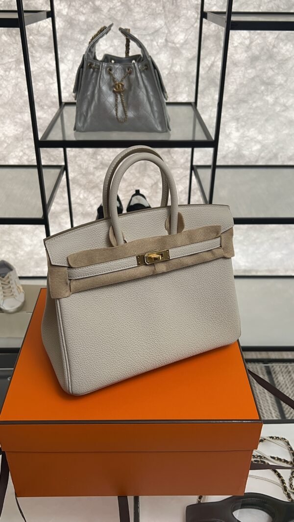 Hermès Birkin 25 Gris Perle Togo With Gold Hardware