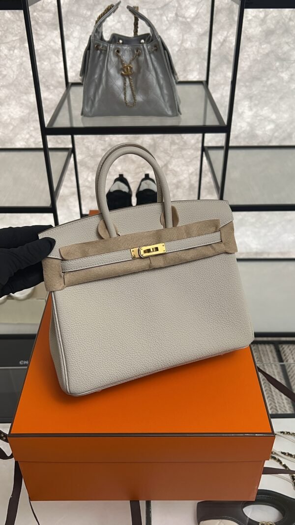 Hermès Birkin 25 Gris Perle Togo With Gold Hardware