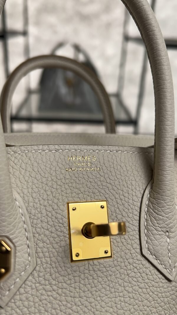 Hermès Birkin 25 Gris Perle Togo With Gold Hardware