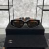 Chanel Cat Eye Sunglasses CH6056 Beige