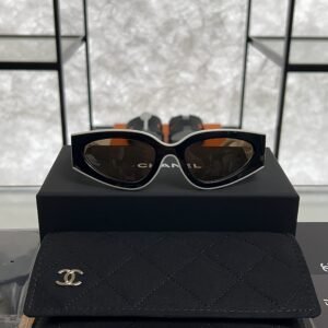 2026_05_02_14_20_IMG_2743 Chanel Cat Eye Sunglasses CH6056 Beige