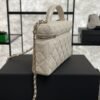 Chanel Top Handle Long Vanity White Caviar Light Gold