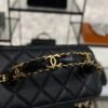 CHANEL Long Vanity with chain Grained Calfskin, Black