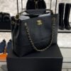 Chanel 2024/25 Métiers d’art Shopping Bag Black