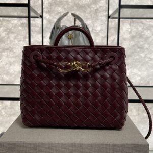 2026_01_09_13_48_IMG_0255 Bottega Veneta Small Andiamo Shoulder Bag Barolo