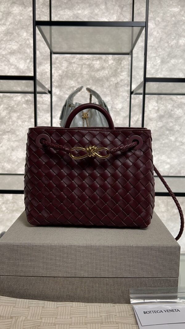 Bottega Veneta Small Andiamo Shoulder Bag Barolo
