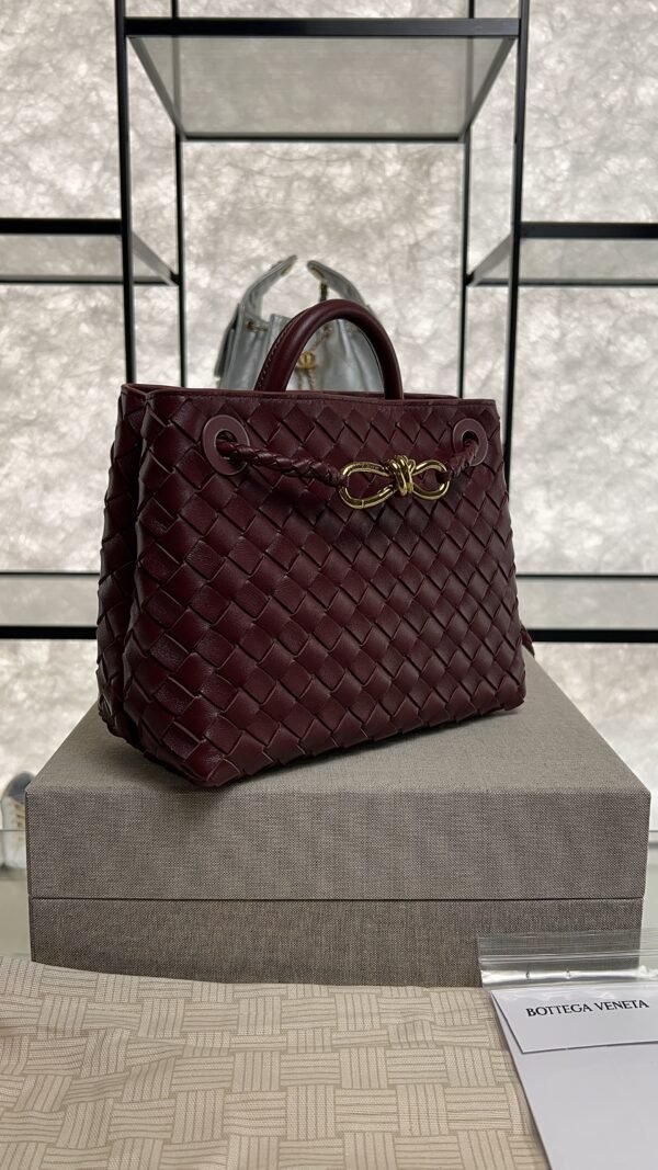 Bottega Veneta Small Andiamo Shoulder Bag Barolo