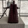 Bottega Veneta Small Andiamo Shoulder Bag Barolo