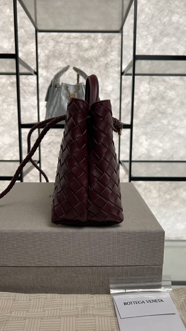 Bottega Veneta Small Andiamo Shoulder Bag Barolo