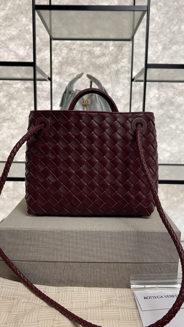 Bottega Veneta Small Andiamo Shoulder Bag Barolo
