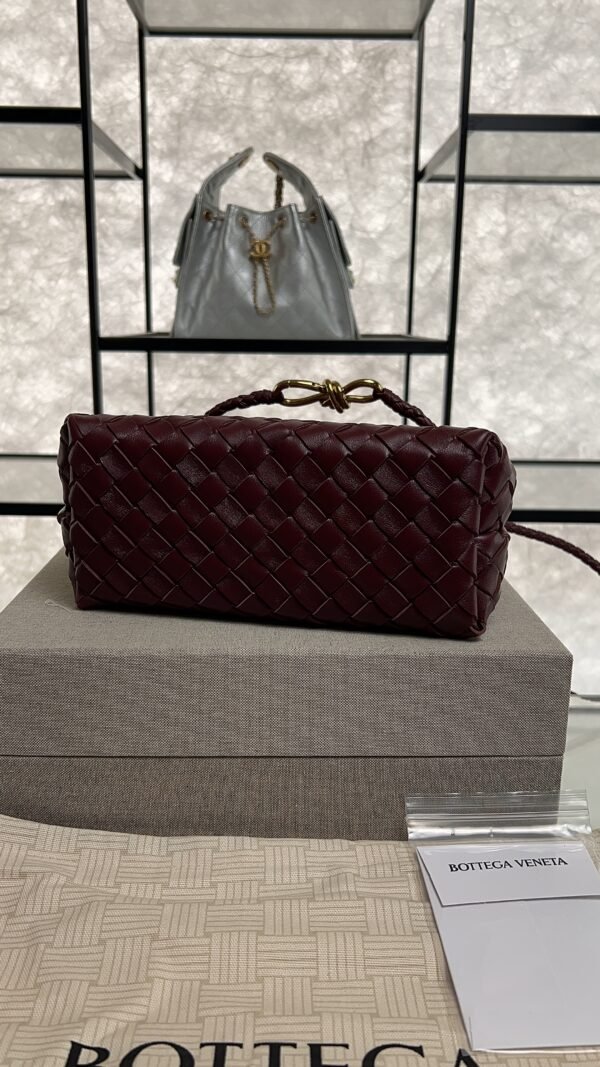Bottega Veneta Small Andiamo Shoulder Bag Barolo