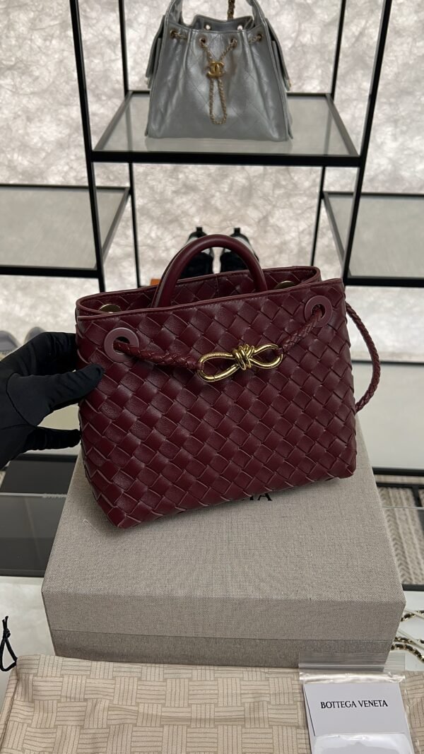 Bottega Veneta Small Andiamo Shoulder Bag Barolo