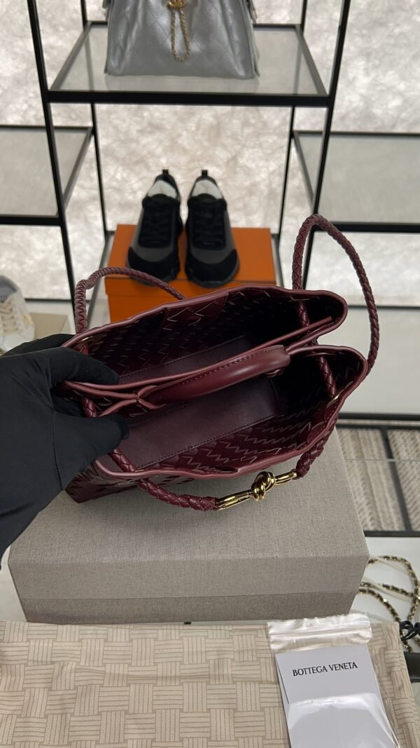 Bottega Veneta Small Andiamo Shoulder Bag Barolo