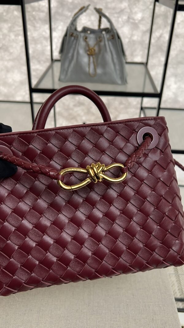 Bottega Veneta Small Andiamo Shoulder Bag Barolo