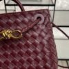 Bottega Veneta Small Andiamo Shoulder Bag Barolo