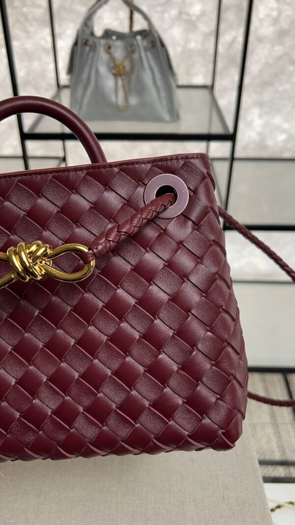 Bottega Veneta Small Andiamo Shoulder Bag Barolo