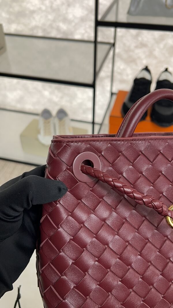 Bottega Veneta Small Andiamo Shoulder Bag Barolo